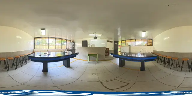 Laboratorio 360